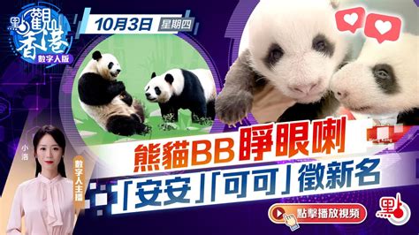 香港bb名